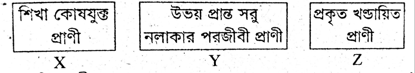 uploaded image